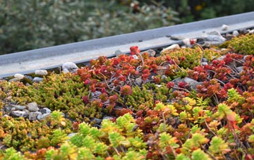 the cost of Green Heath green roof installation