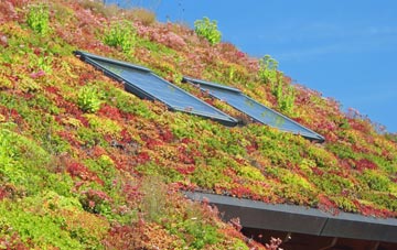 Green Heath living roof systems