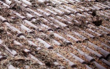 Green Heath roof cleaning companies