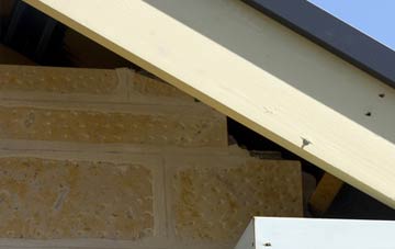 soffit repair Green Heath