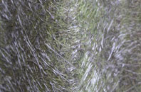 Green Heath fibreglass roof work